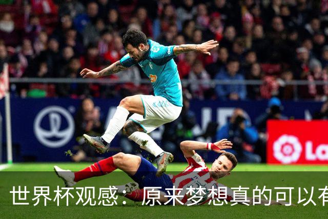 世界杯观感：原来梦想真的可以有，只是国足无力实现