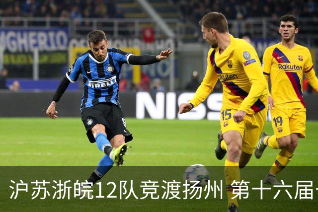 沪苏浙皖12队竞渡扬州 第十六届长三角龙舟赛擂鼓开桨